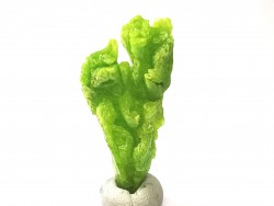 Pyromorphite  - mine Daoping, guangxi province, CHINE