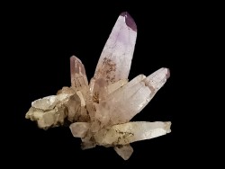 Quartz Amethyste  - Veracruz, Mexique