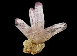 Quartz Amethyste  - Veracruz, Mexique