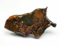 METEORITE pallasite Seymchan