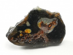 METEORITE pallasite Seymchan