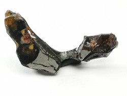 METEORITE pallasite Seymchan