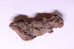 coprolithe of reptil - cenozoic -  Betsiboka, province of Majunga - Madagascar