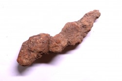 coprolithe of reptil - cenozoic -  Betsiboka, province of Majunga - Madagascar
