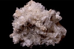 NIFONTOVITE  Mina Rey y Reina, Charcas, San Luis Potosi, Mexico