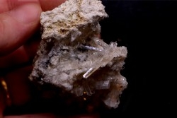 NIFONTOVITE  Mina Rey y Reina, Charcas, San Luis Potosi, Mexico