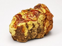 amber , Cretaceous, USA