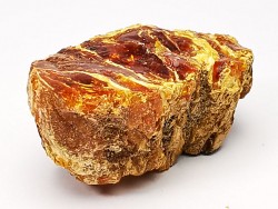 AMBRE du Crétacé, USA