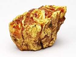 amber , Cretecous, USA