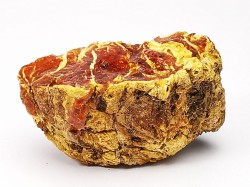 amber , Cretecous, USA