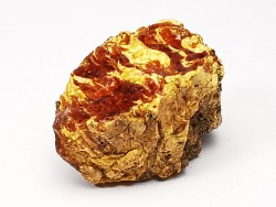 AMBRE du Crétacé, USA