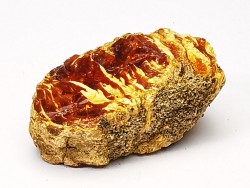 amber, Cretecous, USA