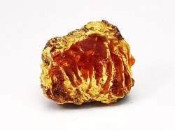 amber , Cretecous, USA