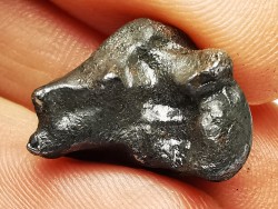 Météorite: SIDERITE IIAB - SIKHOTE ALIN - Russie