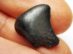 Météorite: SIDERITE IIAB - SIKHOTE ALIN - Russie
