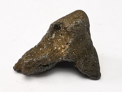 Météorite: SIDERITE IIAB - SIKHOTE ALIN - Russie
