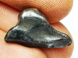 Météorite: SIDERITE IIAB - SIKHOTE ALIN - Russie