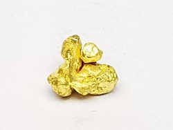 Pépite d'or - Bretagne, France