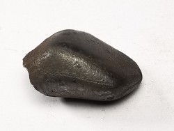 Météorite : SIDERITE IIAB de SIKHOTE ALIN, Russie