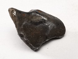 Météorite : SIDERITE IIAB de SIKHOTE ALIN, Russie