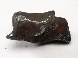Météorite : SIDERITE IIAB de SIKHOTE ALIN, Russie