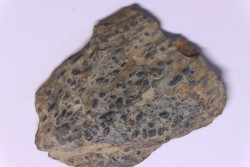 trilobit's COPROLITHES : TOMACULUM PROBLEMATICUM - Ordovician - Maine et Loire, FRANCE