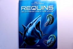 Gilles CUNY:   REQUINS: De la préhistoire à nos jours - 2013