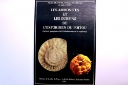 Branger & alii  Les ammonites et les oursins de l'Oxfordien du Poitou -1995