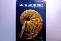 Victor schlampp  malm ammoniten  - 1991