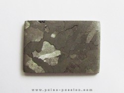 METEORITE  Campo del Cielo (23)