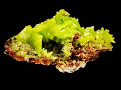 Pyromorphite  - mine Daoping, guangxi province, CHINE