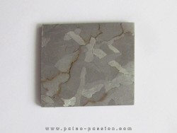 METEORITE  Campo del Cielo (26)