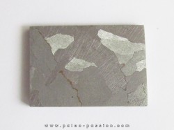 METEORITE  Campo del Cielo (27)