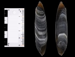 Agate from Alashan, Chinese Mongolia