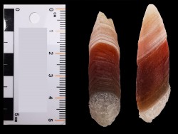 Agate d'Alashan, Mongolie chinoise