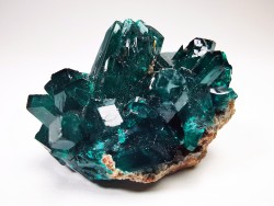 TOP! DIOPTASE - Mindouli, Congo (RDC)