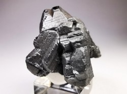 Bournonite, Viboras Mine, Bolivia