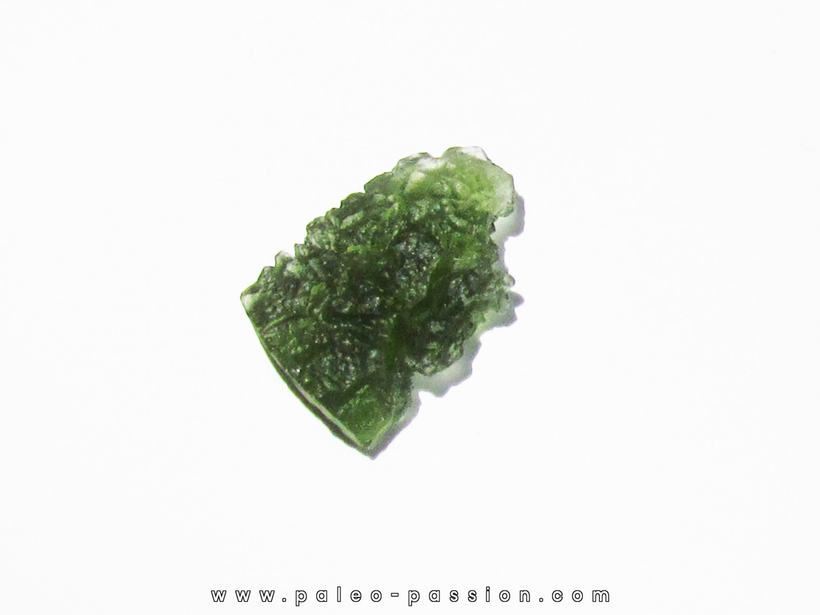 TECTITE: Moldavite (8)