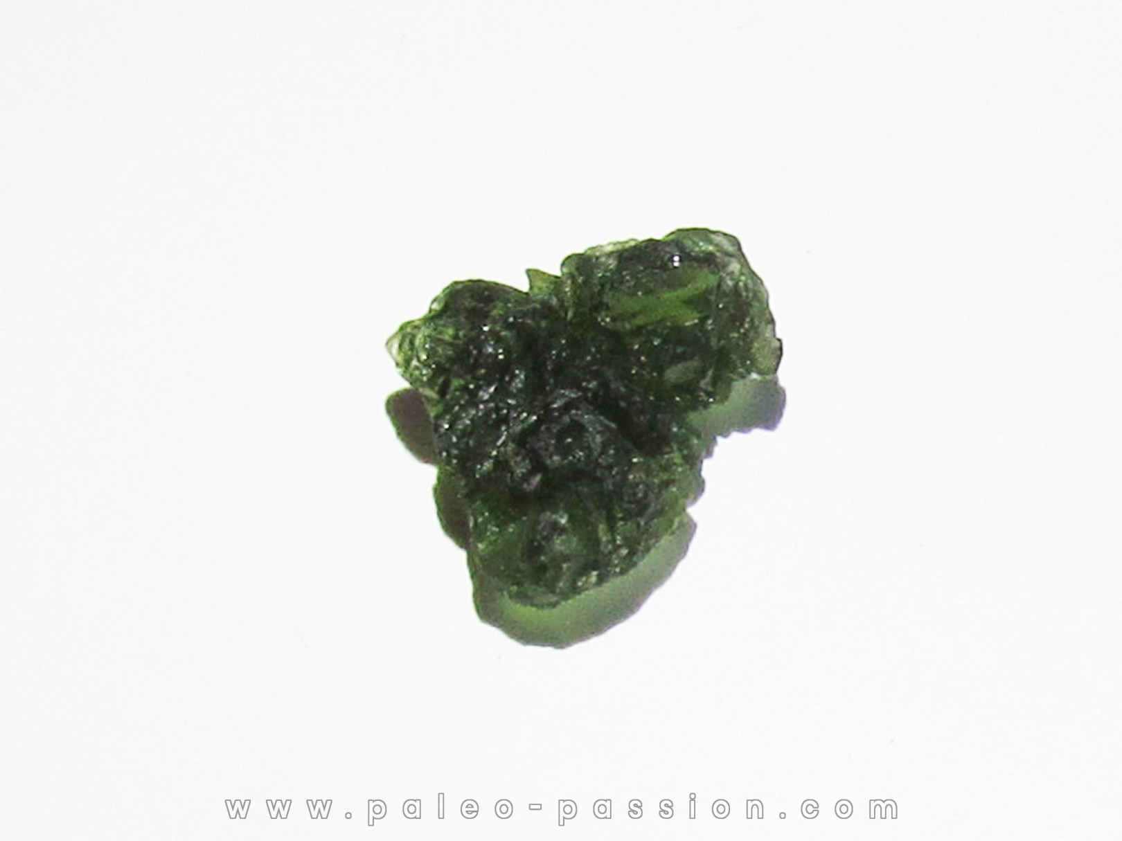 TECTITE: Moldavite (12) TECTITE: Moldavite (12)