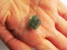 TECTITE: Moldavite (15)