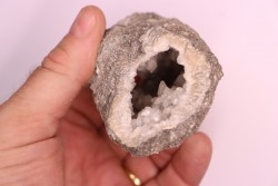 CORAL calcite geode - Oxfordian  - Liesberg quarry, Switzerland