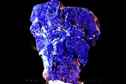 Azurite from  Chessy - France