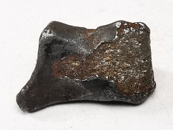 Météorite : SIDERITE IIAB de SIKHOTE ALIN, Russie
