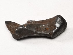 Météorite : SIDERITE IIAB de SIKHOTE ALIN, Russie