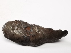 Météorite : SIDERITE IIAB de SIKHOTE ALIN, Russie