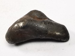 Météorite : SIDERITE IIAB de SIKHOTE ALIN, Russie