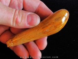 Sperm Whale tooth :Scaldicetus (2)