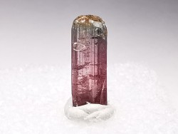 Tourmaline ELBAITE from Afghanistan