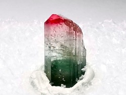 Tourmaline ELBAITE de l'Afghanistan