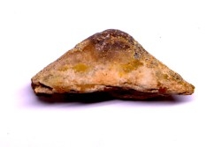 dinosaur Epioccipatal bone: TRICERATOPS HORRIDUS - Hell Creek  Fmt - upper cretaceous - Dawson County, Montana - USA